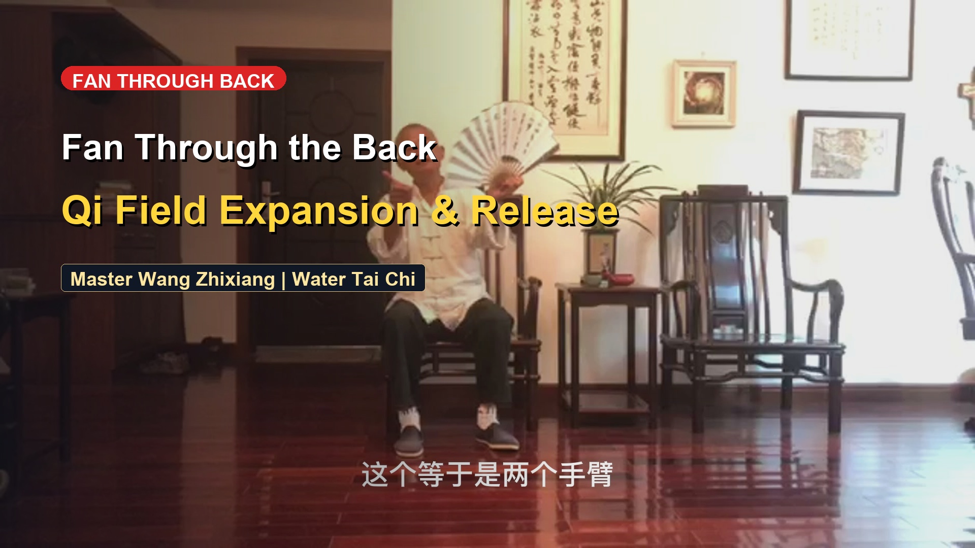 Fan Through Back: The Mingmen Hub, Arm Energy Field & Releasing Jin