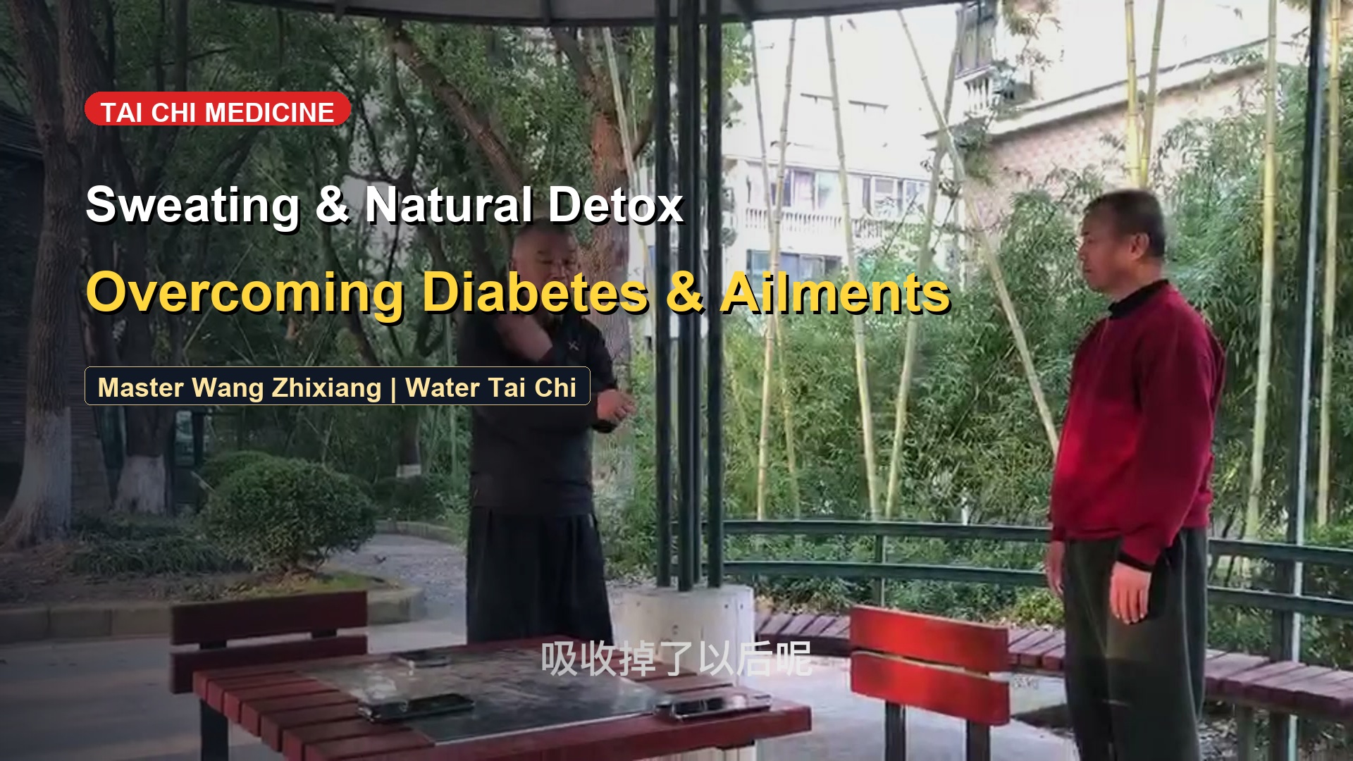 Tai Chi Micro-Perspiration: Scientific Detoxification & Metabolic Activation
