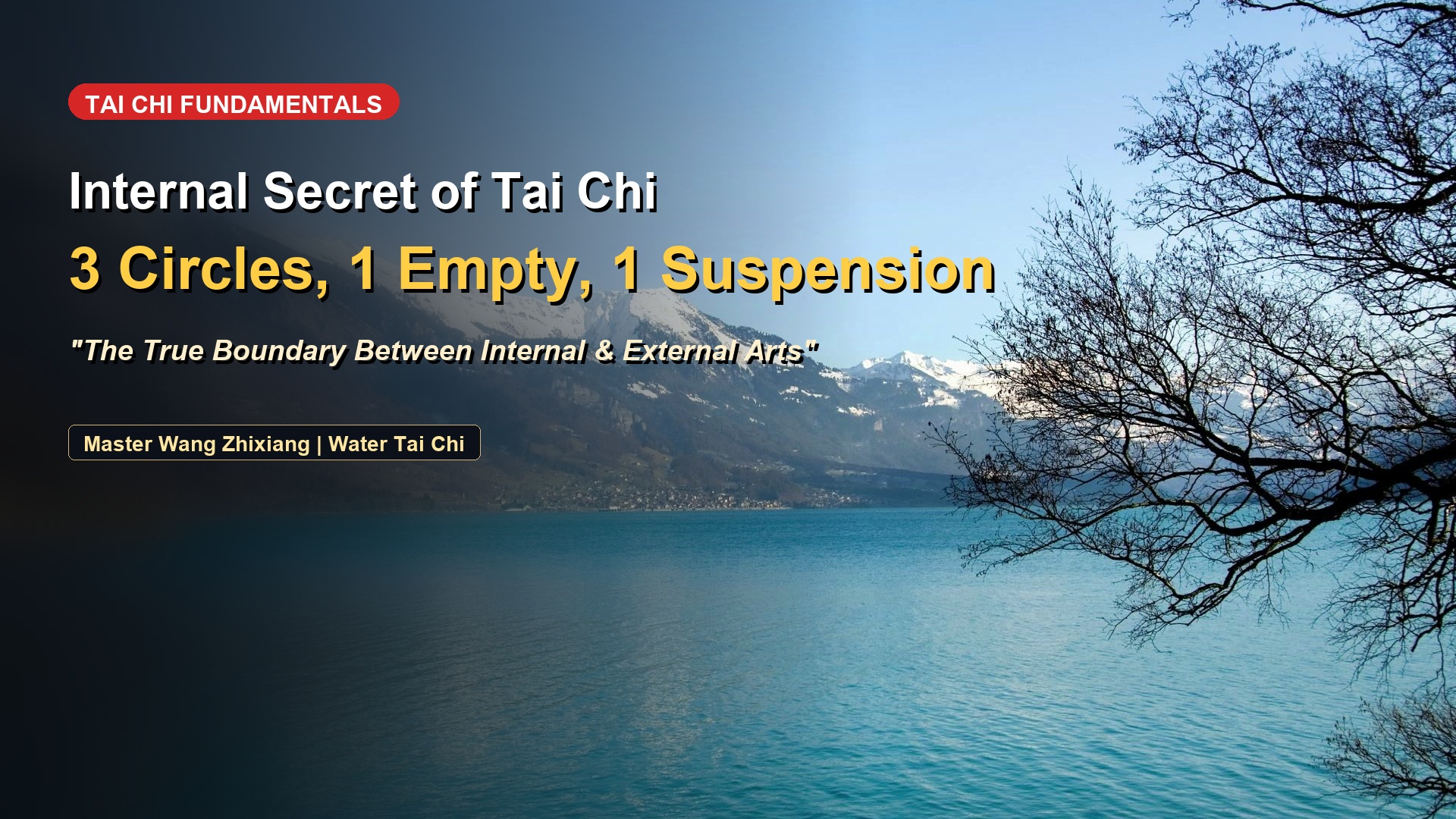 Tai Chi Fundamentals: The Secret Geometry of Three Circles, One Emptiness & One Suspension