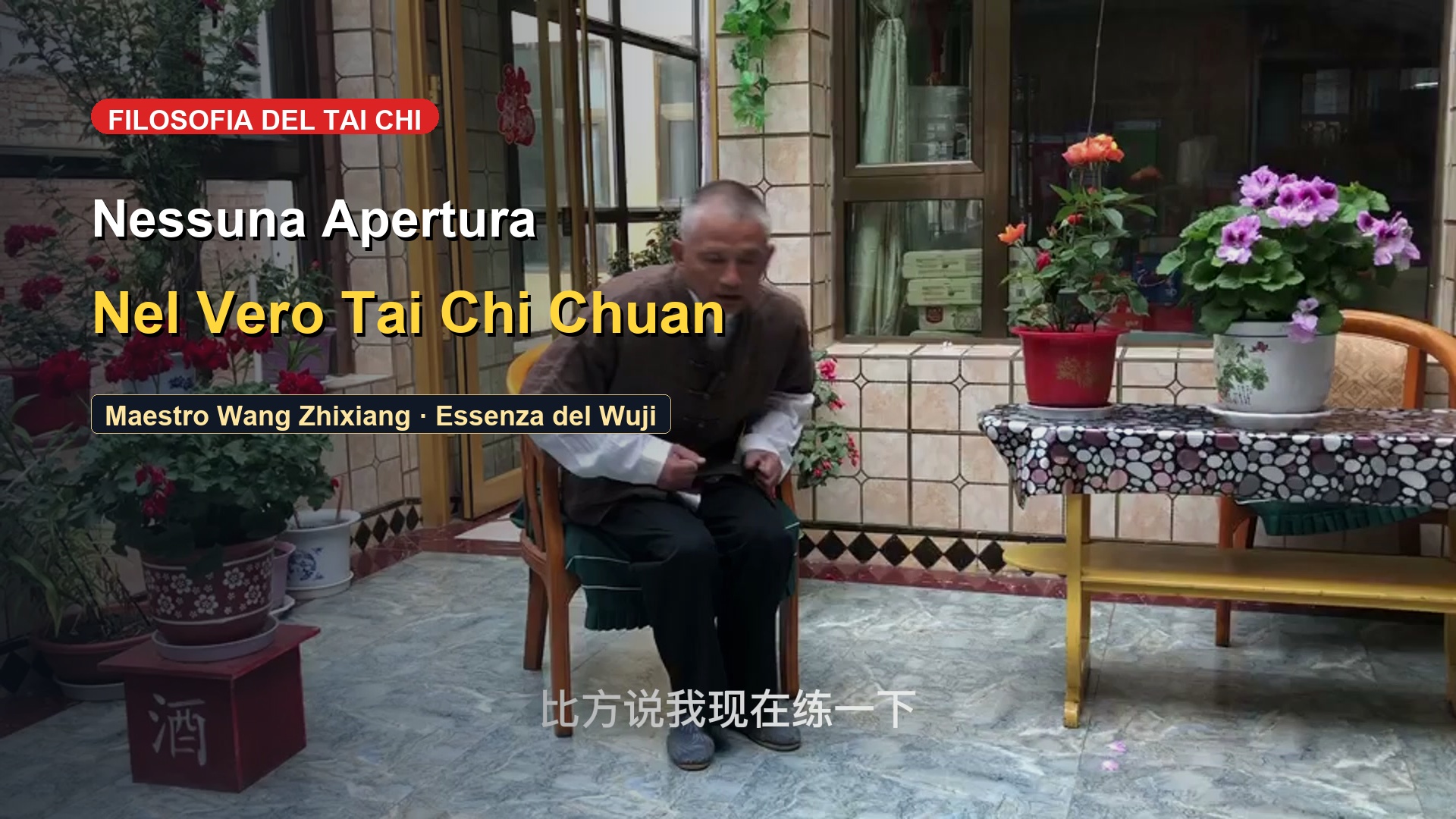 Il Vero Tai Chi Ha Davvero un'Apertura? Il Mistero dello Stato Wuji
