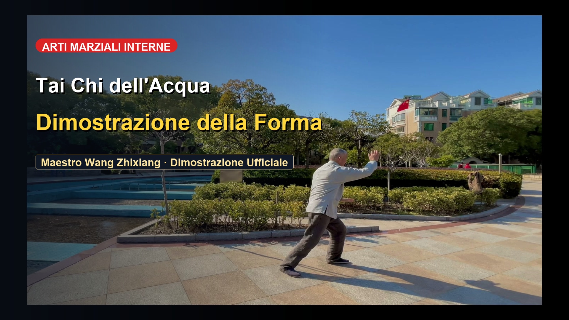 Forma Cardine del Tai Chi dell'Acqua: Dimostrazione Magistrale del Maestro Wang