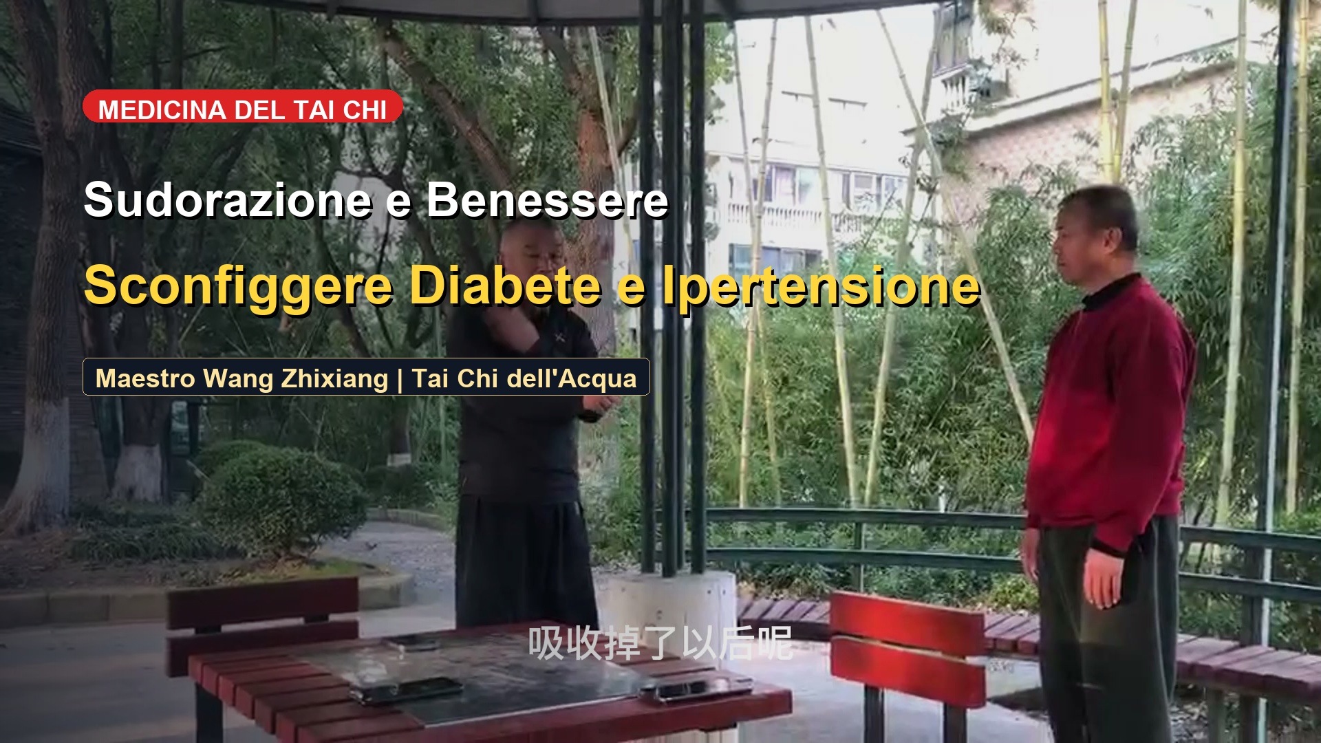 La Micro-Traspirazione nel Tai Chi: Disintossicazione e Attivazione Metabolica