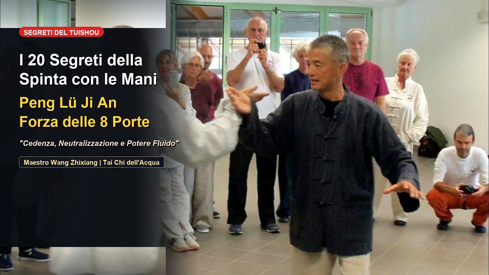 Maestria nella Spinta con le Mani (Tuishou): La Formula dei 20 Caratteri Decodificata